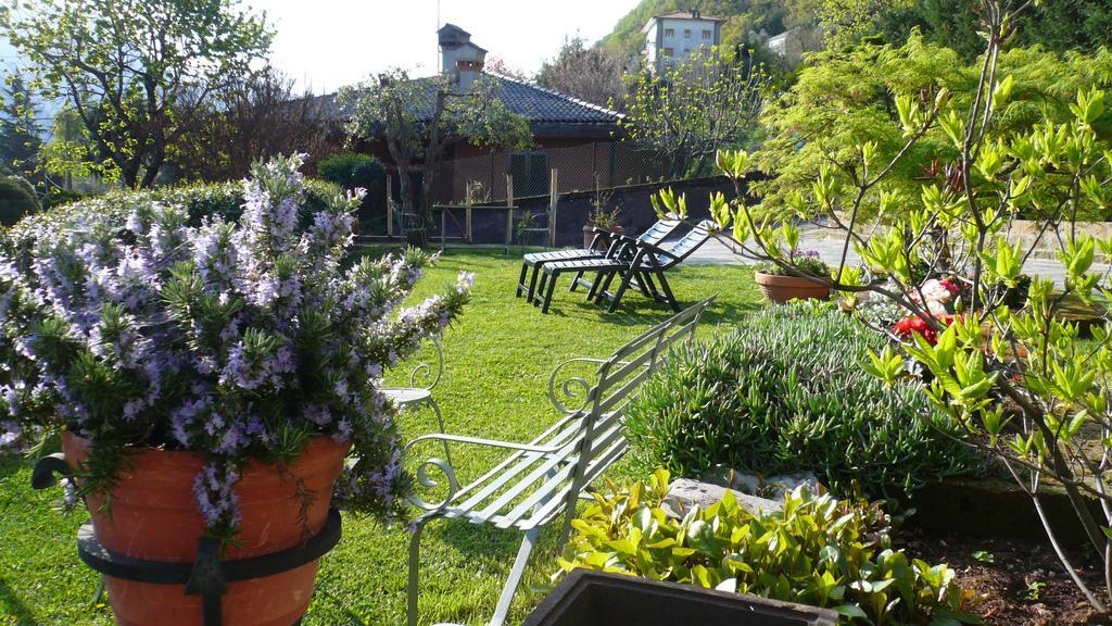 Casa Beatrice Lejlighed Oliveto Lario Eksteriør billede